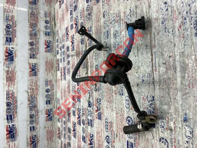 06F133781D - HAVA ALMA HORTUMU