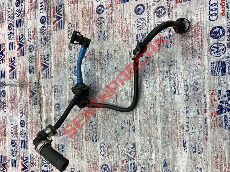 06F133781D - HAVA ALMA HORTUMU