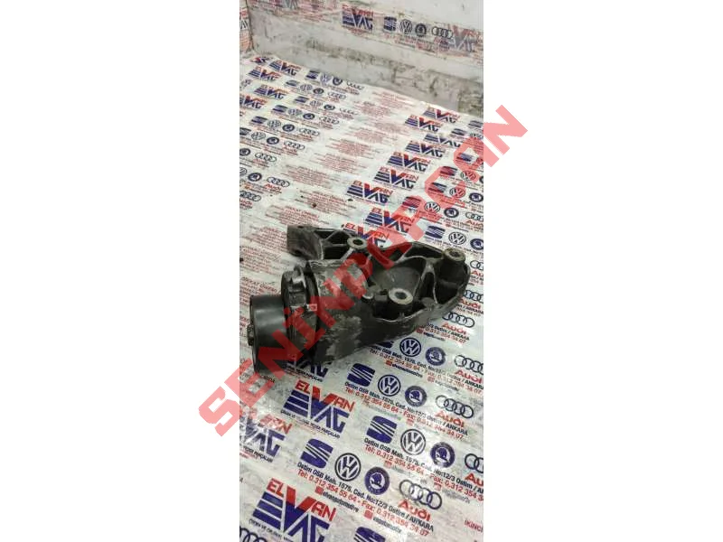 03C145299L - GERME ELEMANI